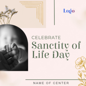 Sanctity of Life main image