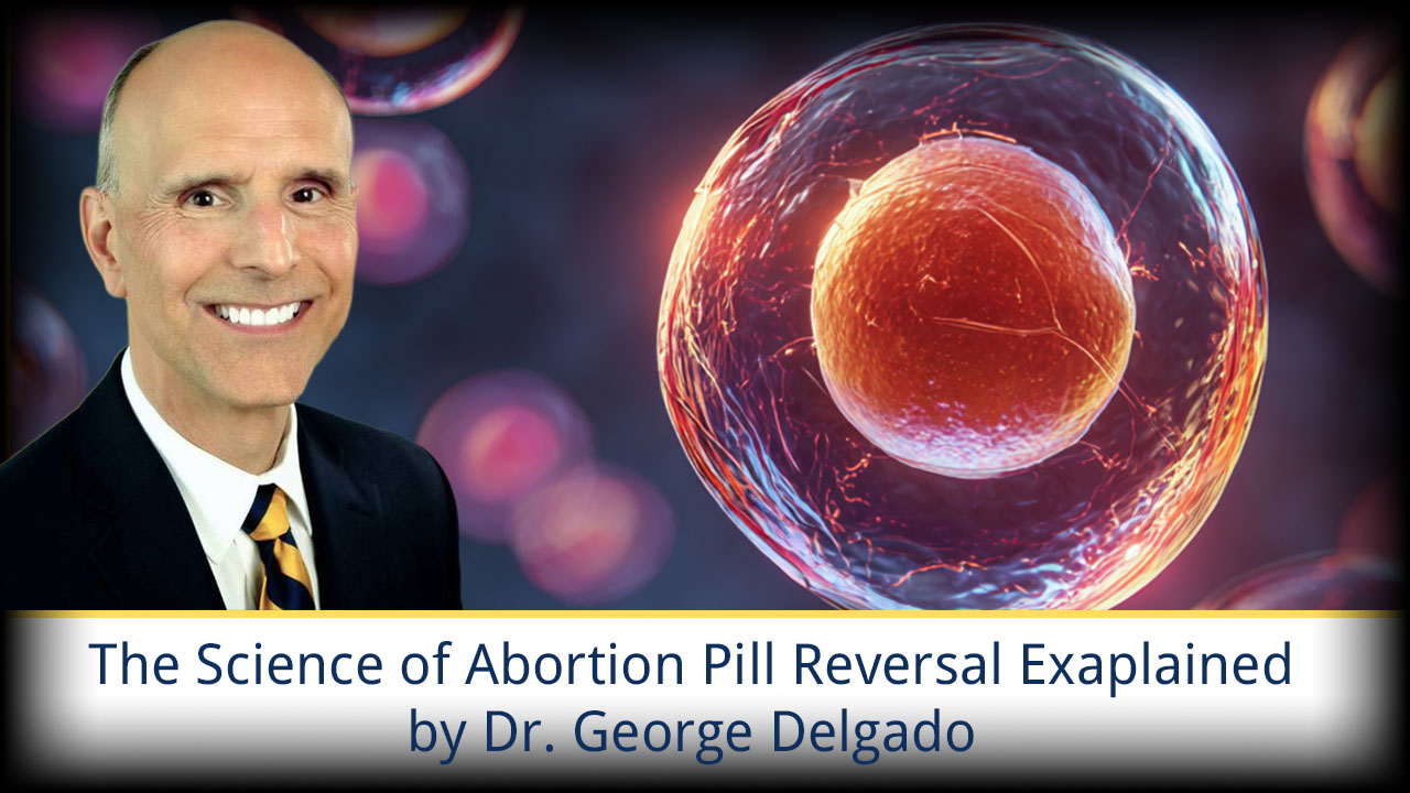 The ProLife Team Podcast